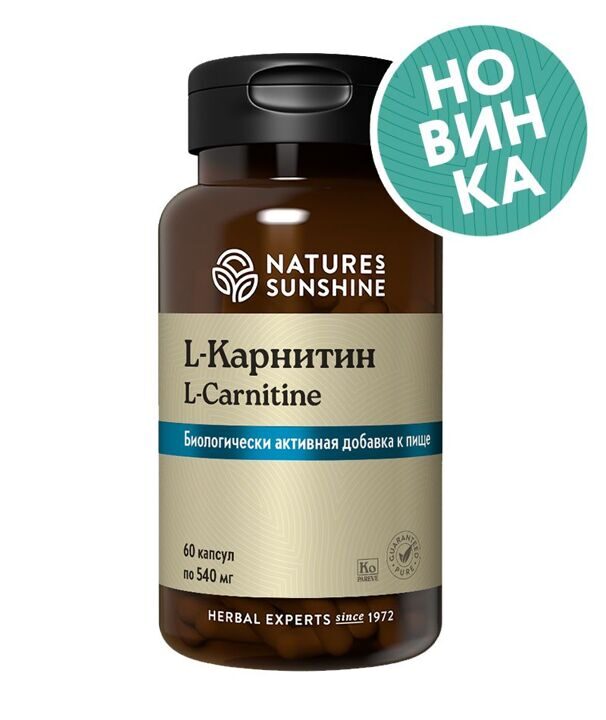 L-Карнитин (L-Carnitine)